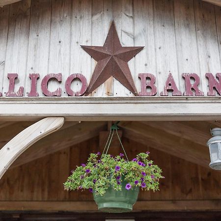 Ostello Calico Barn Widdrington Esterno foto